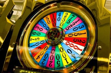 toto911 login Bingo